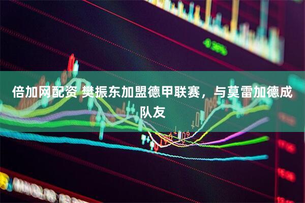 倍加网配资 樊振东加盟德甲联赛，与莫雷加德成队友