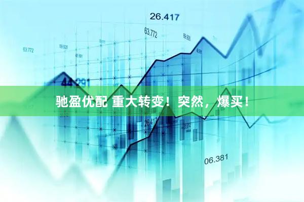 驰盈优配 重大转变！突然，爆买！