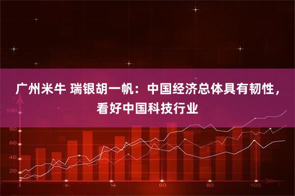 广州米牛 瑞银胡一帆：中国经济总体具有韧性，看好中国科技行业