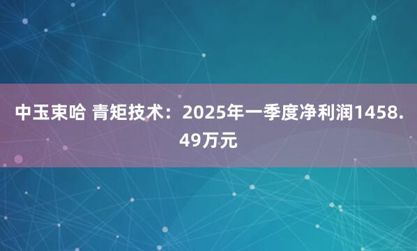 中玉束哈 青矩技术：2025年一季度净利润1458.49万元
